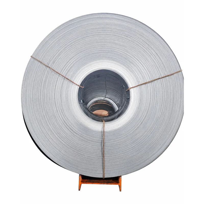 Cold‑Rolled Ductile Annealed Spring Steel Strip