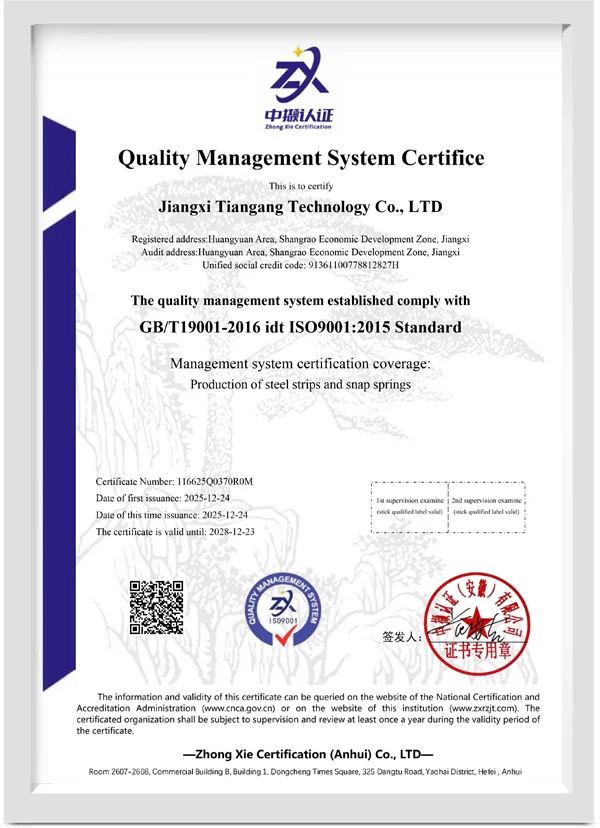 ISO9001